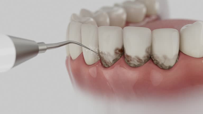 Reliable Dental contractor in Aberdeen, NC by Dentist Open Now
